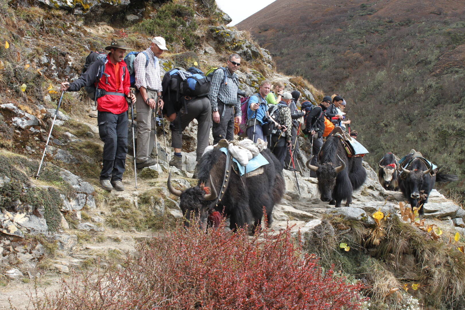 Hikers on Everest Trail
